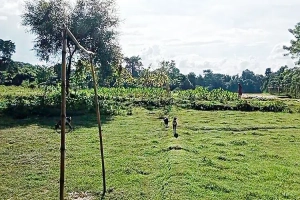 মৌলভীবাজারের ২৭১ কিমি সীমান্তে কাটাতারের অভাব: দুর্গমতার সুযোগে বাড়ছে পাচার