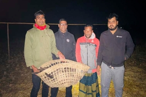 মৌলভীবাজারে শকুন উদ্ধার, বন বিভাগে হস্তান্তর