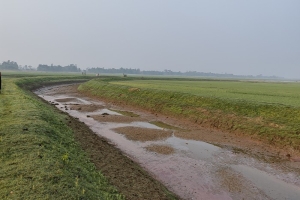 সুনামগঞ্জে ​খরচার খালে ‘মাছ লুটের’ মহোৎসব