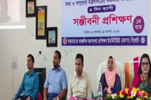 দাপ্তরিক কাজের মানোন্নয়নে দক্ষতা বাড়াতে হবে: মাহবুবা ফারজানা