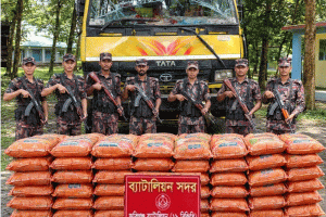 সিলেট সীমান্তে বিজিবির অভিযানে ২ কোটি টাকার ভারতীয় অবৈধ পণ্য জব্দ